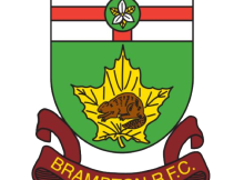 BRFC-Crest